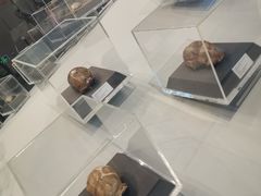 -北京周口店北京人遗址博物馆