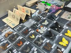 -烟台市博物馆