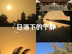 -江心屿景区