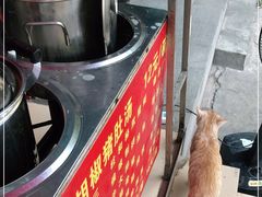 -胡椒猪肚汤(康王店)