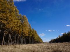 -塞罕坝国家级自然保护区