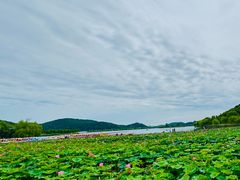 -南北湖风景区