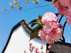 -尚湖风景区