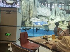 -帝企鹅自助餐厅•儿童岛•真企鹅(长隆企鹅酒店)