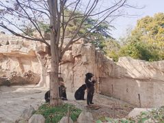-上海野生动物园
