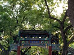 -北京国子监胡同