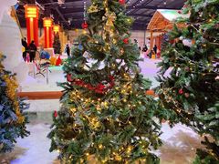 -宁波冰雪大世界(北仑区)