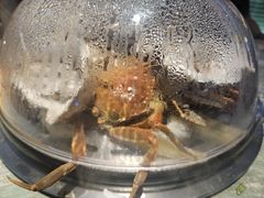 -山海•蒸汽活海鲜自助(皇庭广场店)