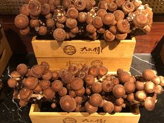 -大头椰·椰子鸡火锅(新梦店)