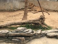 -长廊欢乐园