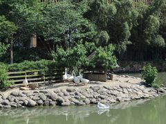 -田园东方蜜桃村的田野营地