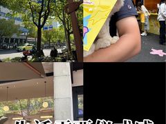 -Peet's Coffee皮爷咖啡(大学路店)