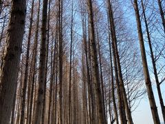 -云龙湖旅游景区