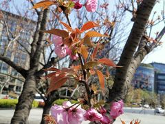-上海跨国采购会展中心