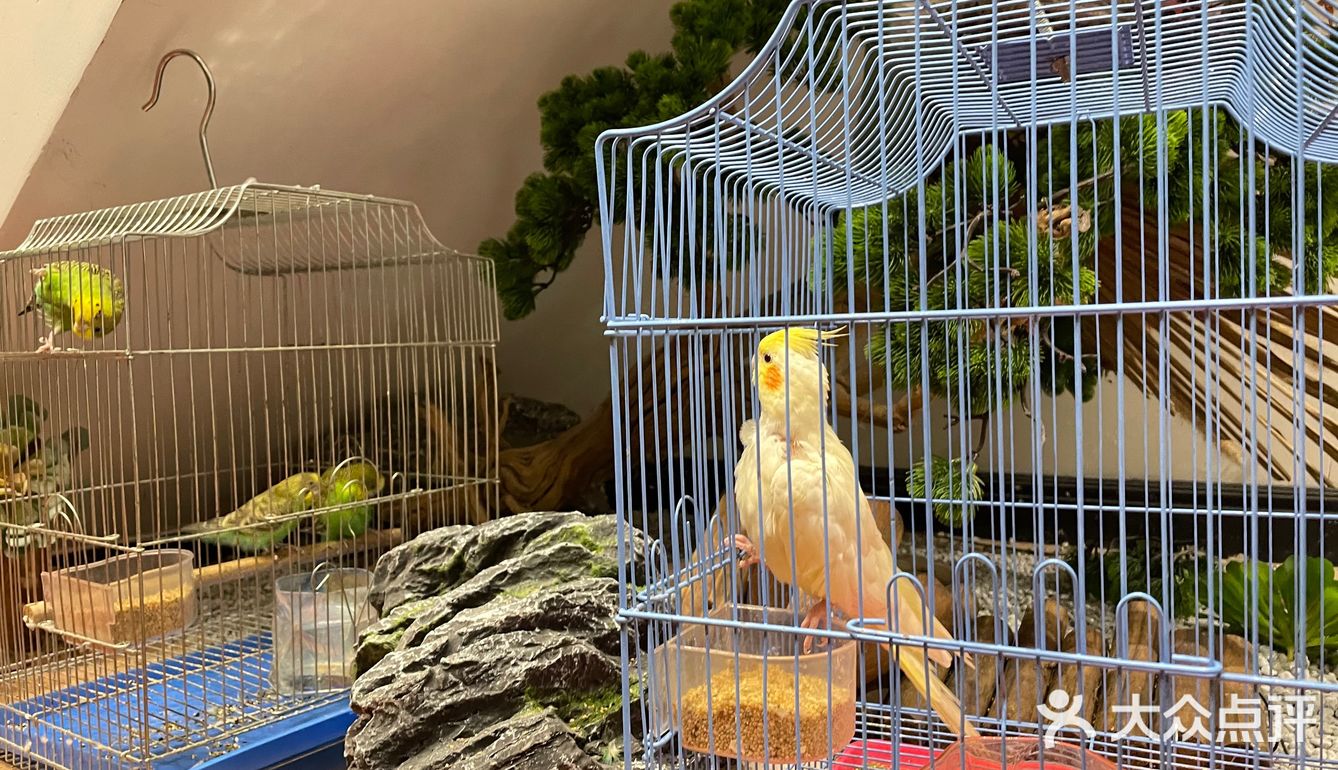 穿越时空的午餐
