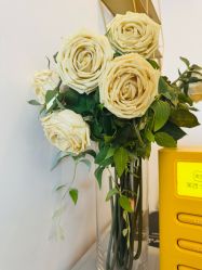 -演员的秘密·皮肤管理