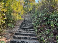 -林丰温泉度假山庄