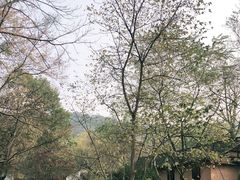 -法云安缦酒店