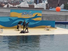 -秦皇岛乐岛海洋王国