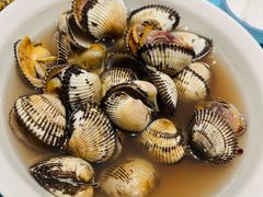 白灼麻蛤-北塘海鲜·天津菜(大光明桥旗舰店)
