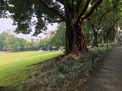 -广州雕塑公园