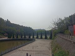 -三水森林公园