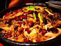 老板恋上鱼-老板恋上鱼(高新万达店)