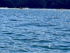 -千岛湖-欢乐水世界