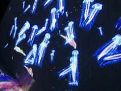 -暹罗海洋世界