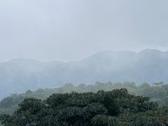 -东莞观音山旅游风景区