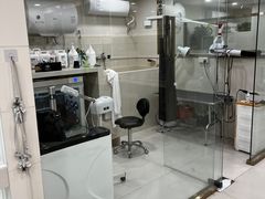 -当汪遇见喵宠物店