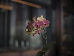 -atta bj(国贸商城店)