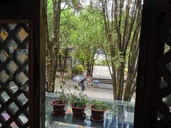 -蓝壁虎咖啡酒馆