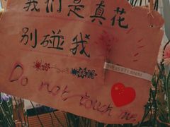 -谷莠子花艺·气球派对·绿植造景·花艺沙龙(金光华广场店)