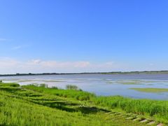 -呼兰河口湿地公园