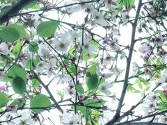 -国际非物质文化遗产博览园