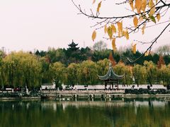 -北宫国家森林公园