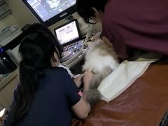 -美联众合动物医院·24h转诊中心