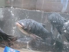 -上名堂·鱼头好吃(体育场路店)