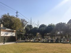 -洪湖家庭农场·团建·露营·会议
