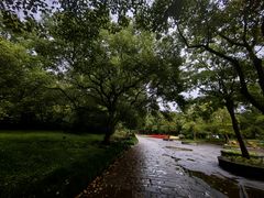 -上海共青森林公园