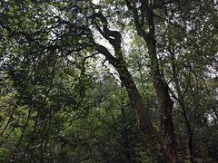 -小格里自然风景区