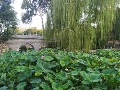 -莲湖公园