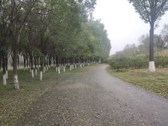 -东郊湿地公园