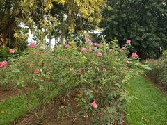 -人民公园(罗湖区)