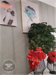 -八佰伴8008星级形象店