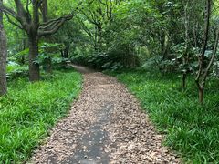 -新江湾城公园