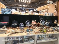 -光海书局(南京东路第一百货店)