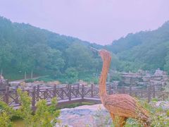 -北京西山国家森林公园