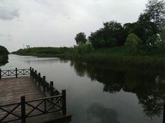 -黄海国家森林公园